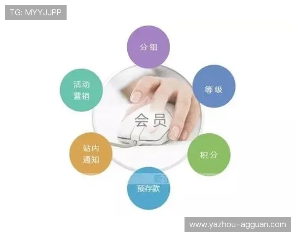 广东AG贵宾厅VIP会员权益详解让你享受专属定制化服务体验 广东AG贵宾厅VIP会员权益详解让你享受专属定制化服务体验