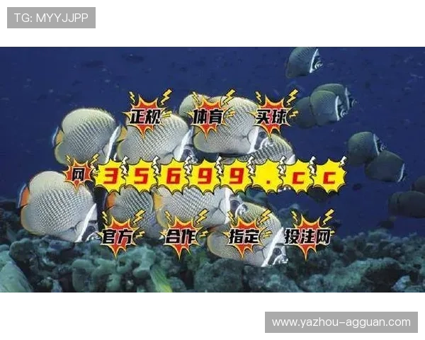 BG视讯网站最新优惠活动与用户评价分析,助你轻松畅玩娱乐世界 BG视讯网站最新优惠活动与用户评价分析,助你轻松畅玩娱乐世界